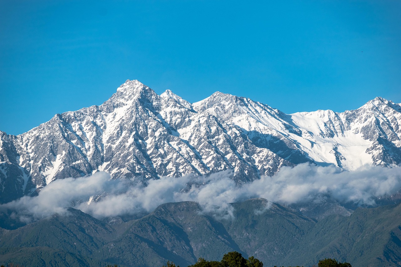 Exclusive Verified Mostbet Betting App India vs Dafabet: Which Is Better for Indians in 2027?
